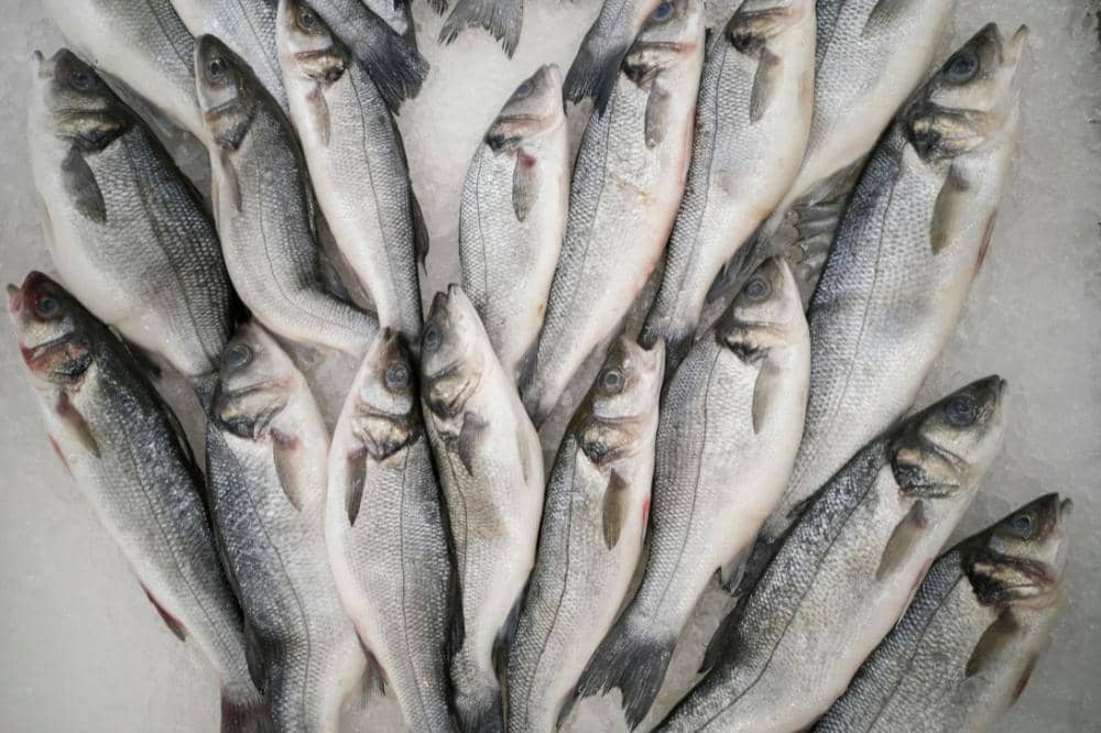 Makanan sehat untuk ibu hamil dengan preeklamsia