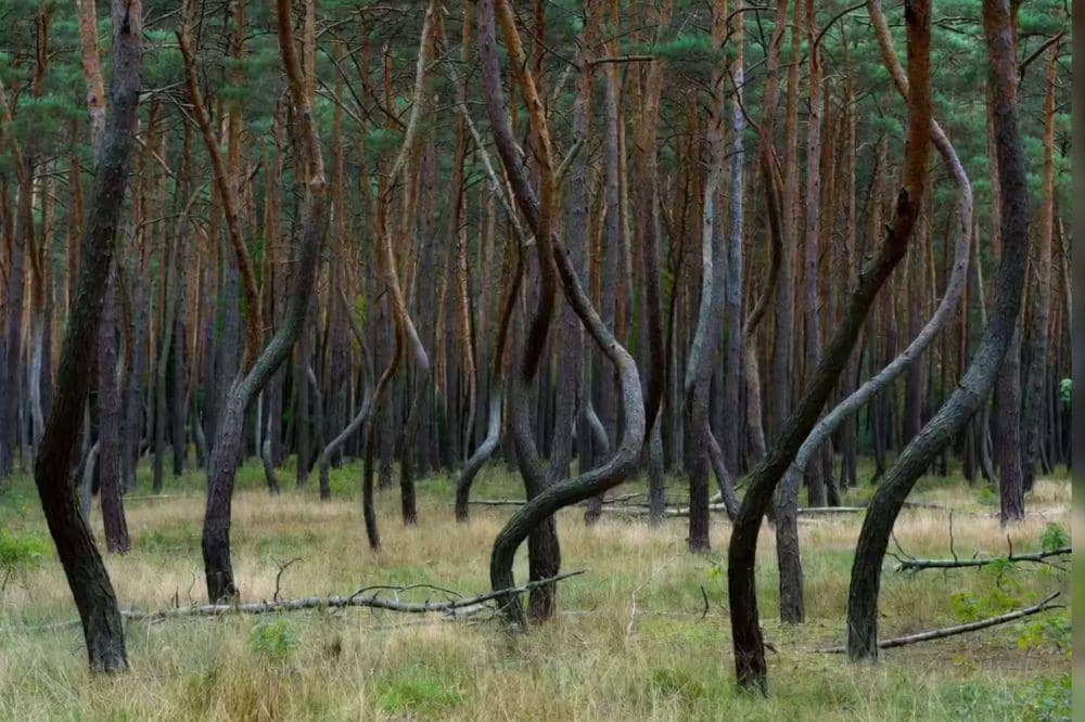 Tempat Paling Misterius di Dunia 7.jpg