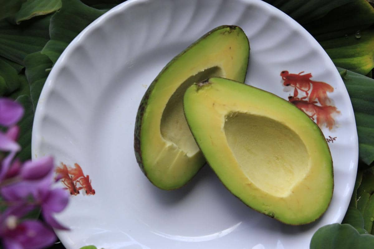 Alpukat mengandung lemak sehat untuk kesuburan