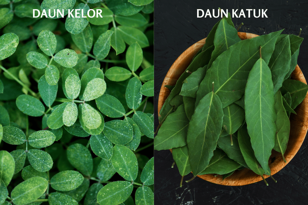 Daun Katuk vs Daun Kelor, Mana yang Paling Bagus untuk Ibu Menyusui?