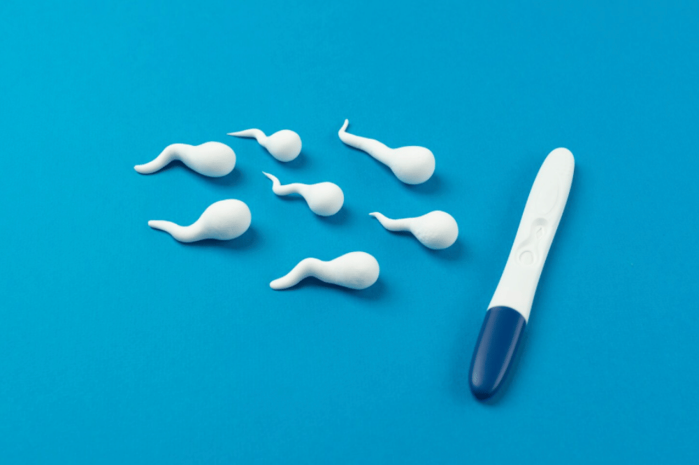 Persiapan Tubuh sebelum Menjalani Inseminasi