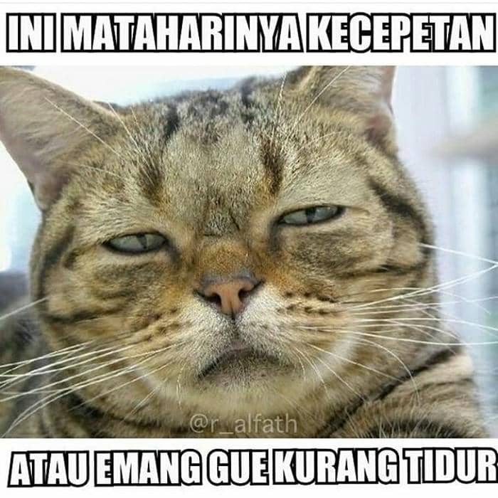 7 Meme Mama Muda Kurang Tidur