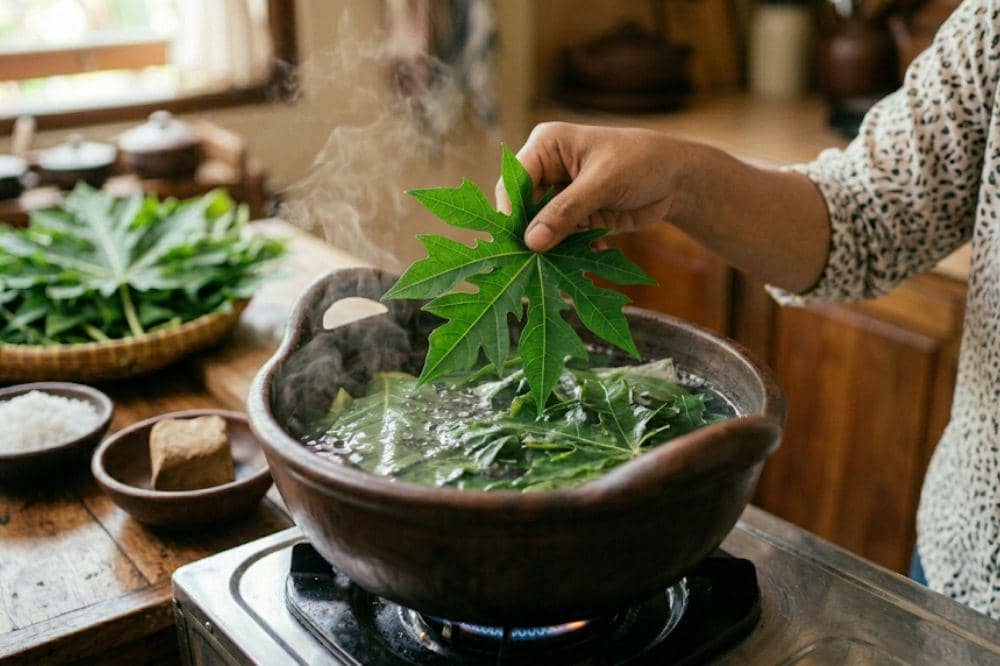 Cara Mengolah Daun Pepaya agar Tak Pahit untuk Serat Ibu Menyusui 1.jpg