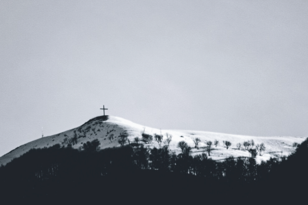 IMG_3255.png