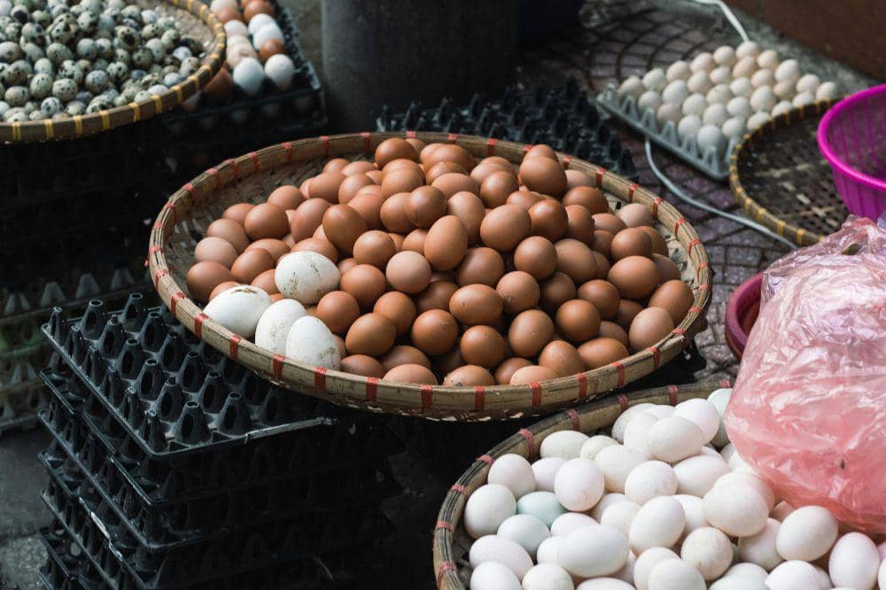 Telur baik untuk mencegah stunting