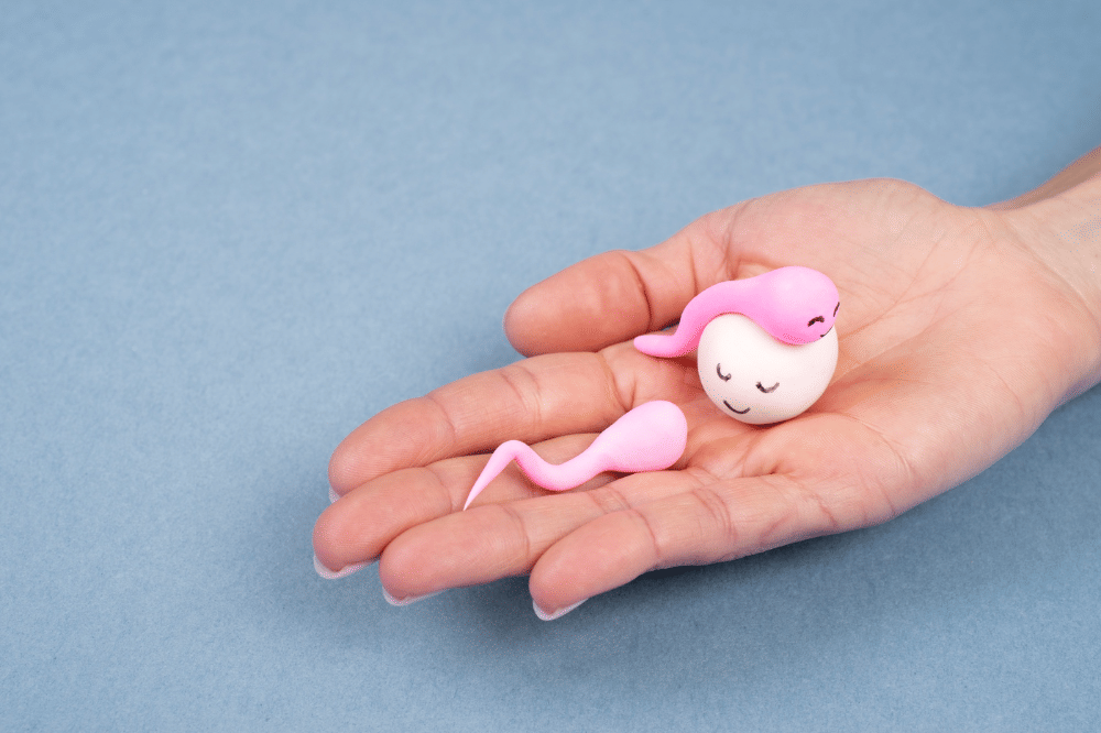 sperma dan sel telur berwarna pink dan putih 