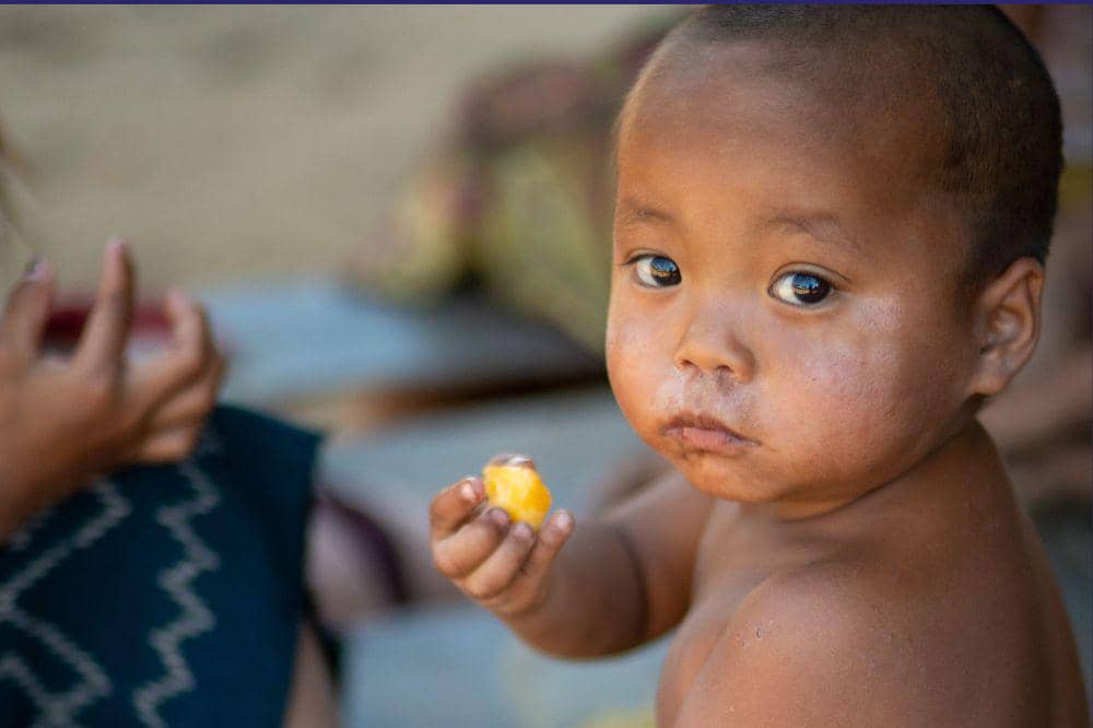 10 Makanan Mengandung Protein untuk Mencegah Stunting
