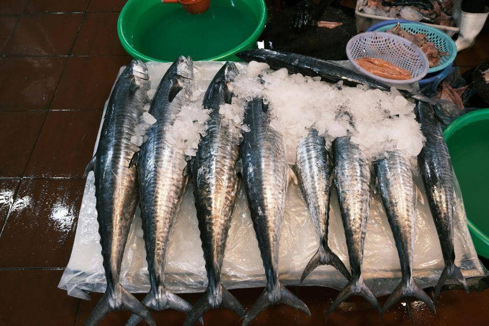 Ikan kembung sebagai superfood yang baik untuk perkembangan otak anak