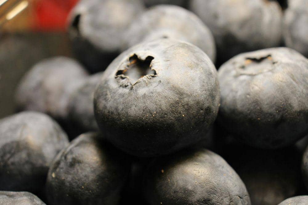 Buah beri sebagai superfood yang baik untuk perkembangan otak anak