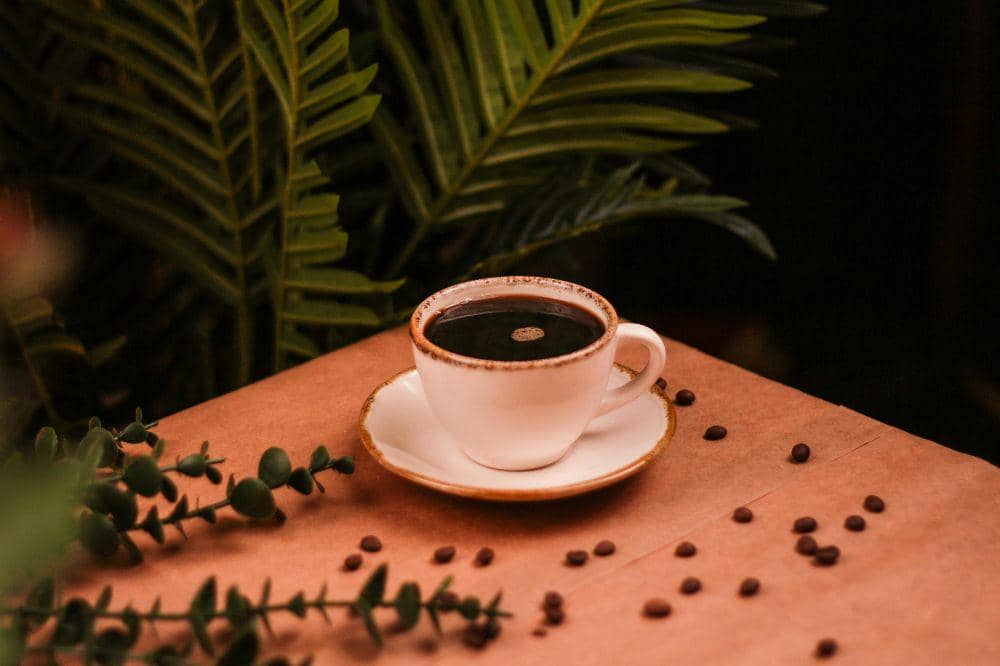 Obat Batu Empedu Alami 7