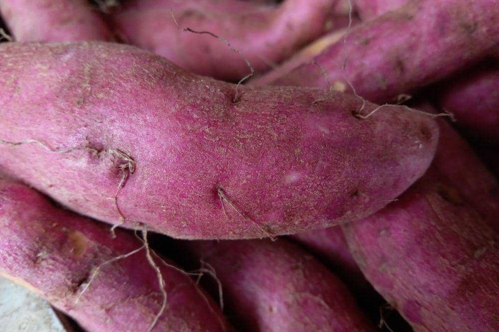 7 Makanan Mempercepat Penyembuhan Luka Lambung Secara Alami 7