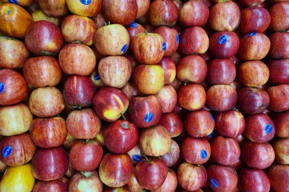 Makanan yang Mengandung Gas 2