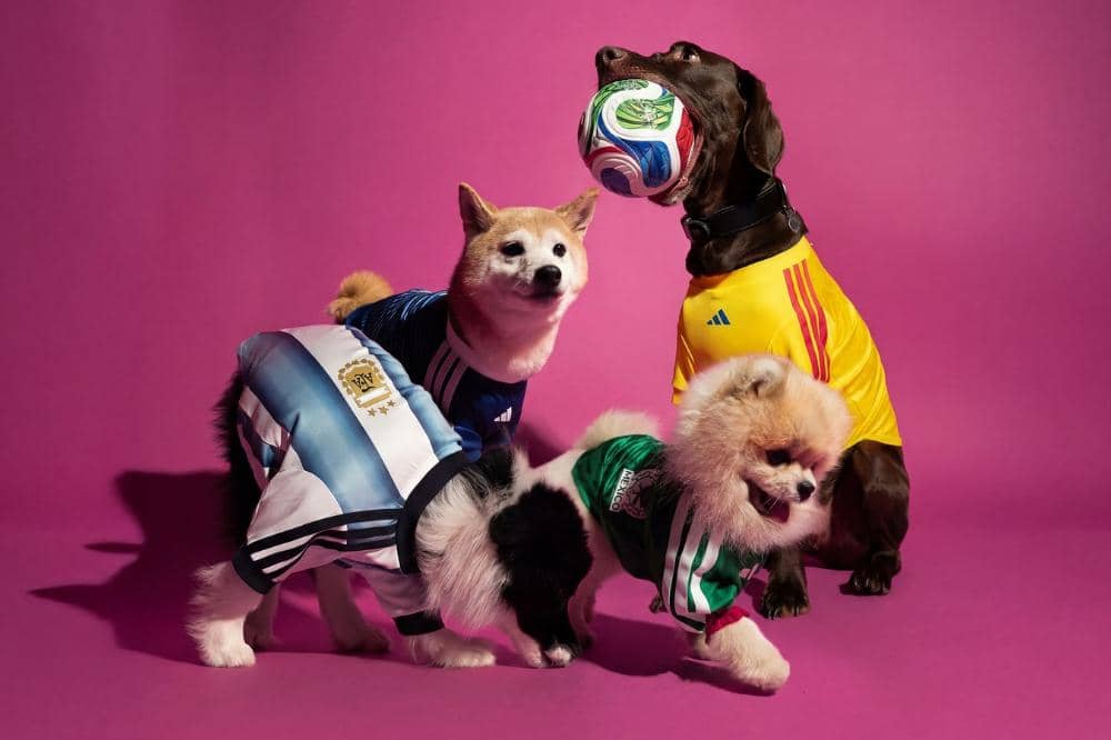 Adidas Rilis 'Pet Collection' FIFA World Cup 2026, Intip Detailnya!