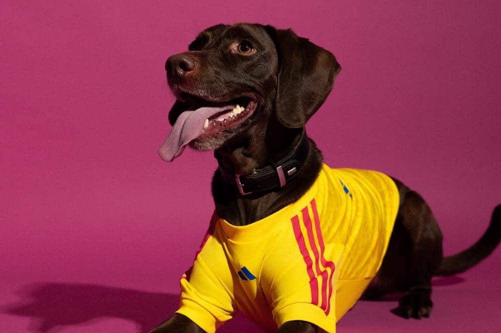 Adidas Luncurkan 'Pet Collection' FIFA World Cup 2026, Intip Detailnya Yuk! 2.jpg