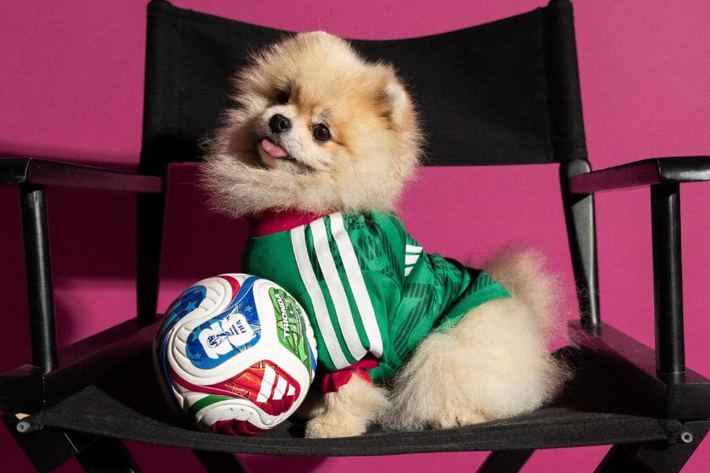 Adidas Luncurkan 'Pet Collection' FIFA World Cup 2026, Intip Detailnya Yuk! 4.jpg
