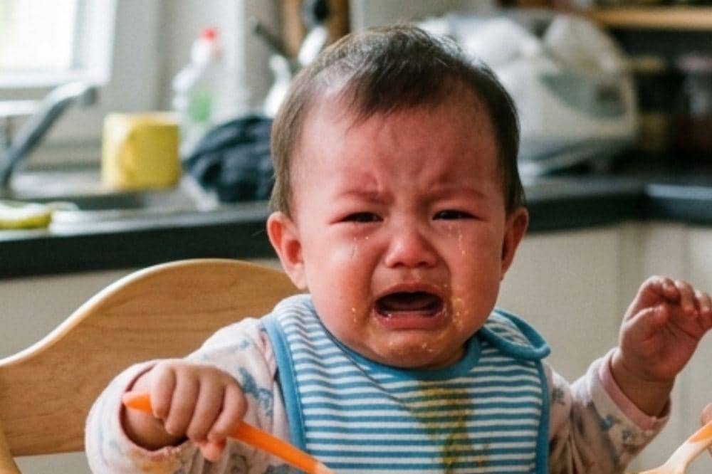 Penelitian yang membahas bagimana makanan ultraproses bisa pengaruhi emosi dan perilaku anak