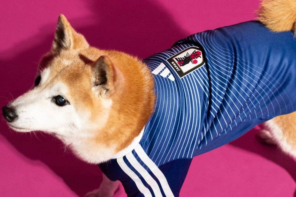 Adidas Luncurkan 'Pet Collection' FIFA World Cup 2026, Intip Detailnya Yuk! 5.jpg