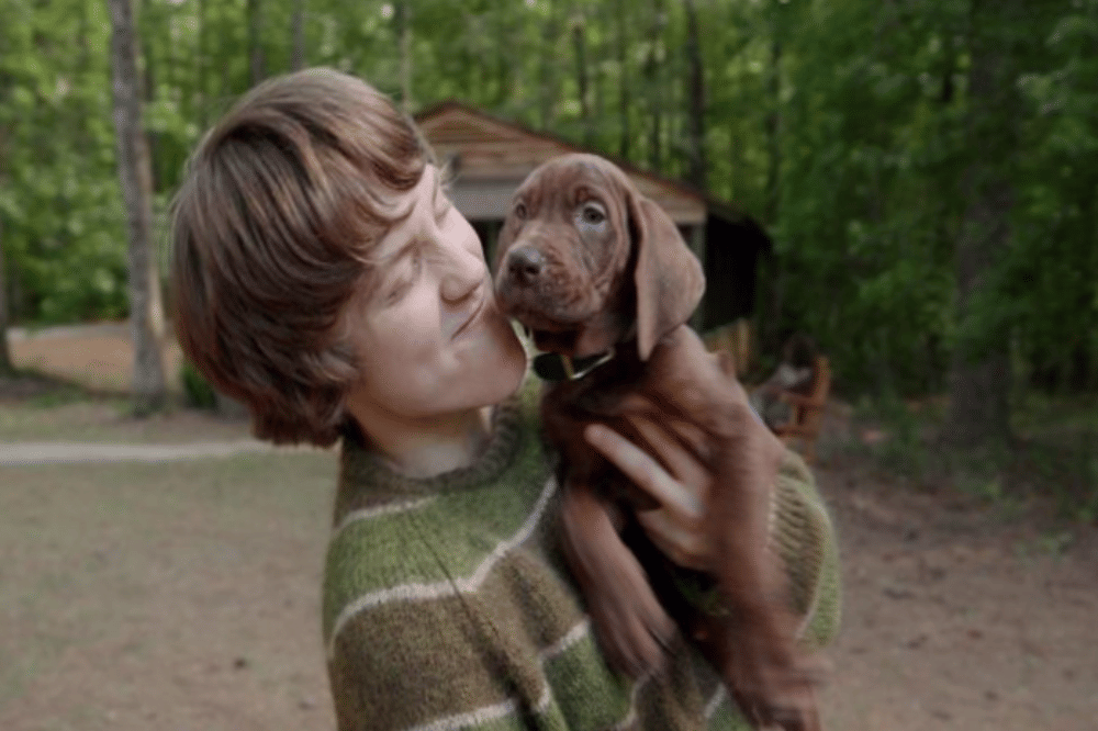 Still Image ScoobyDoo 3 