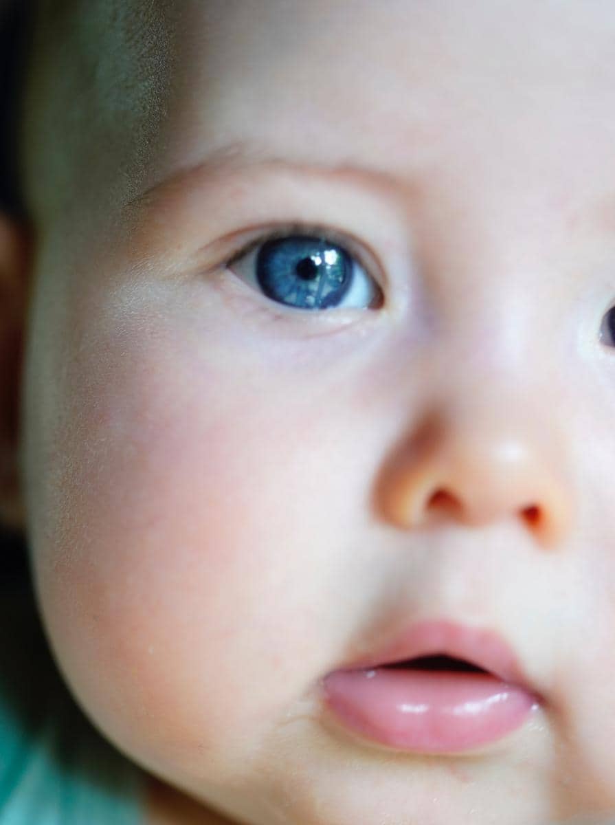 anak steffi zamora