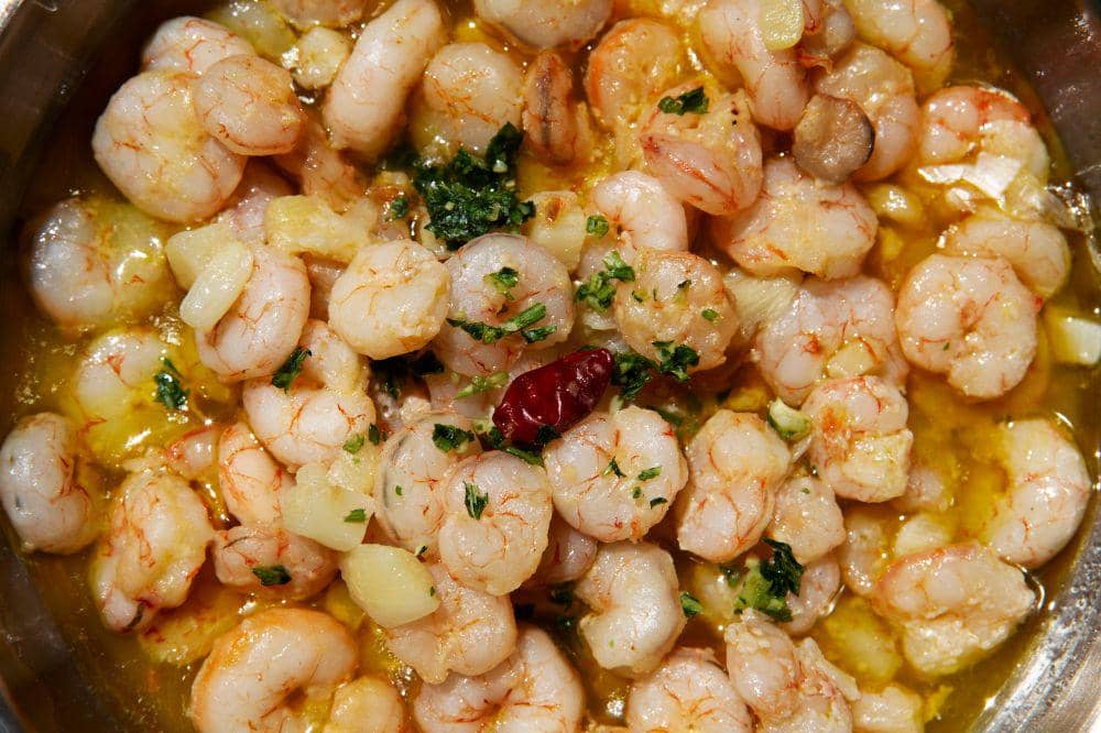 marinasi udang