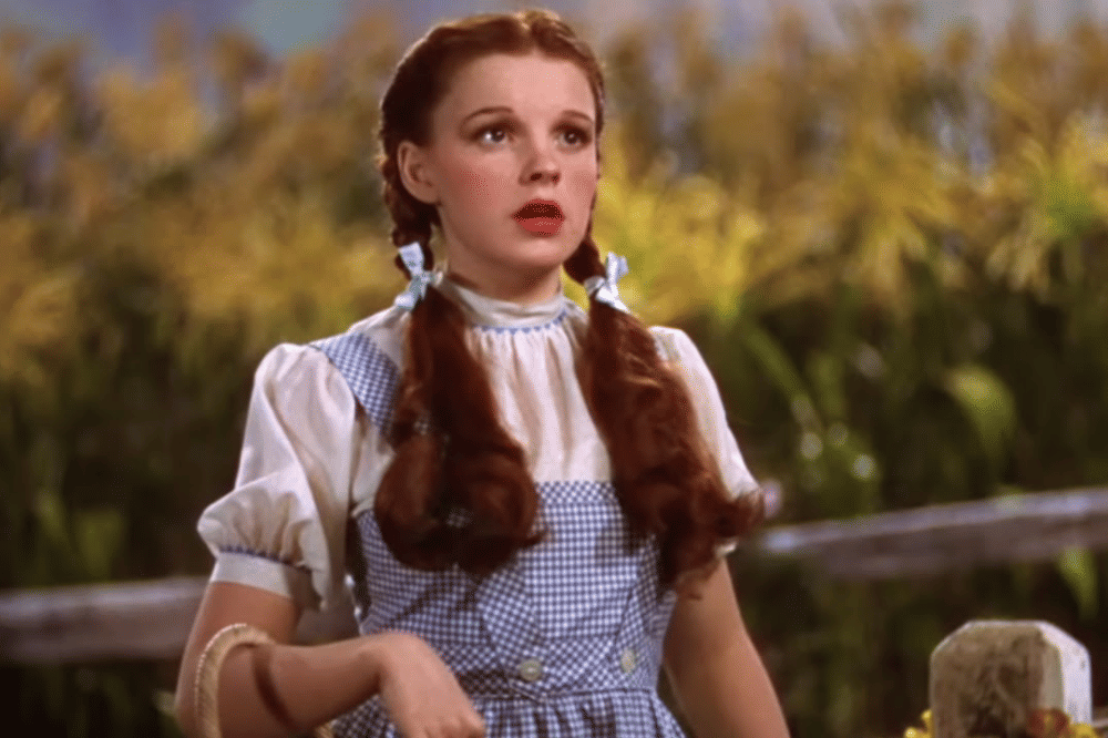 gingham outfit (3).png