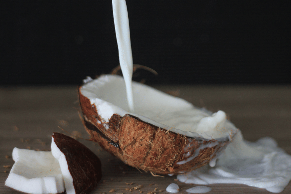 Santan kelapa