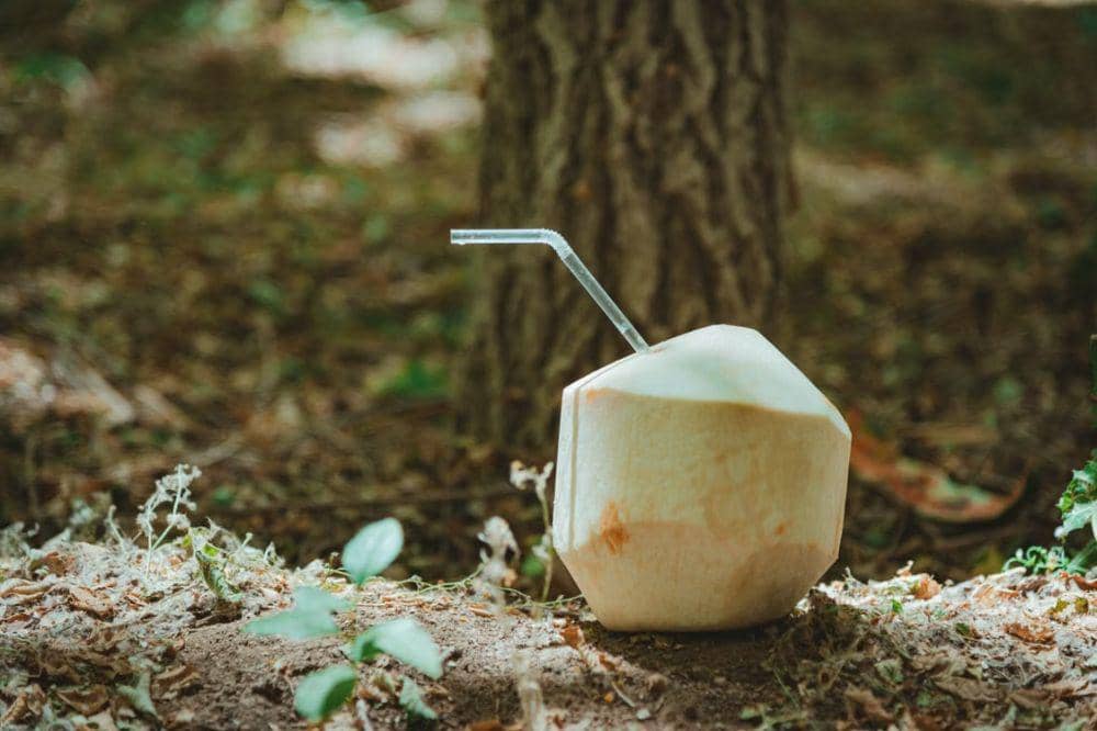 7 Daftar Minuman Penghilang Ngantuk untuk Tetap Terjaga