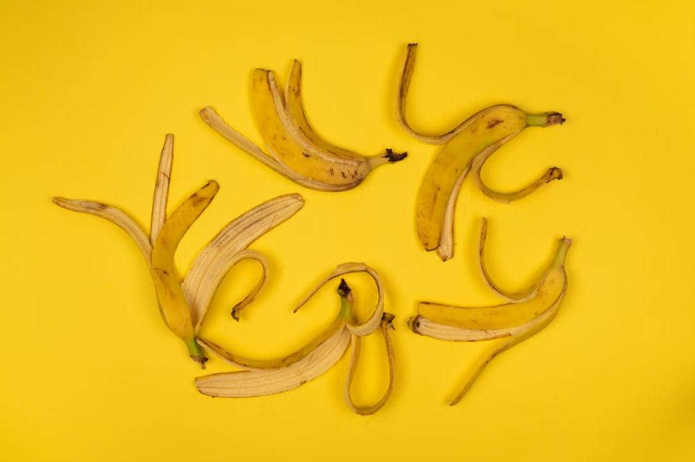4 Bagian Pohon Pisang yang Bisa Dimakan