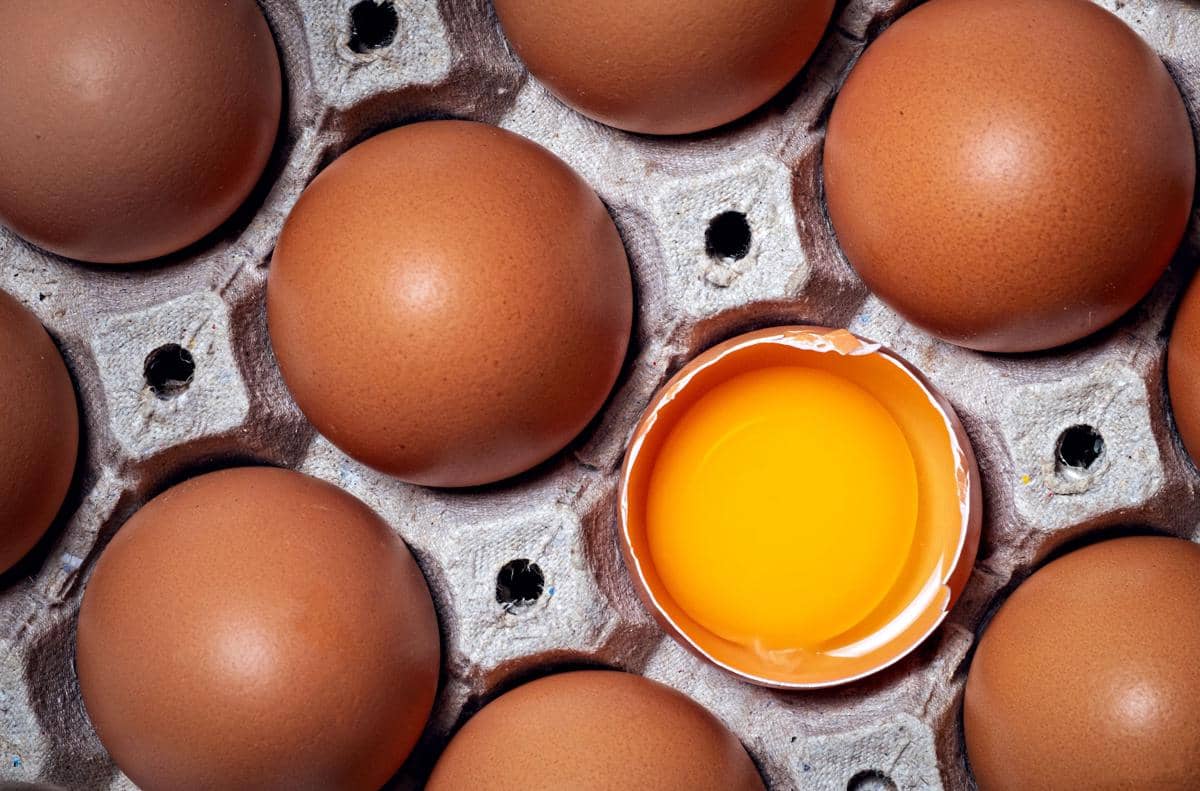 Telur membantu meningkatkan kualitas sel telur