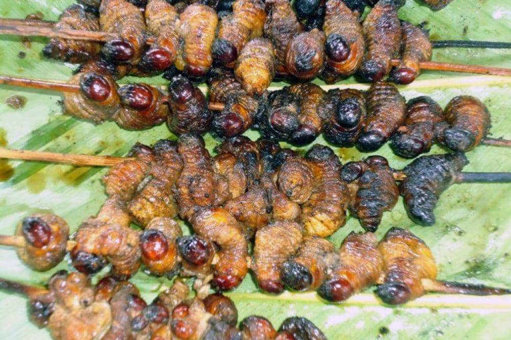 Benarkah Camilan Ulat Sagu dari Indonesia Timur Kaya Nutrisi?