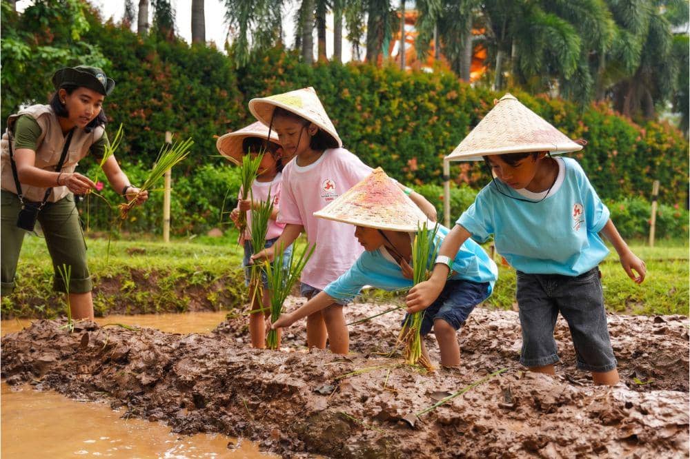 Eksplorasi Maksimal Saat Anak Menanam Padi 