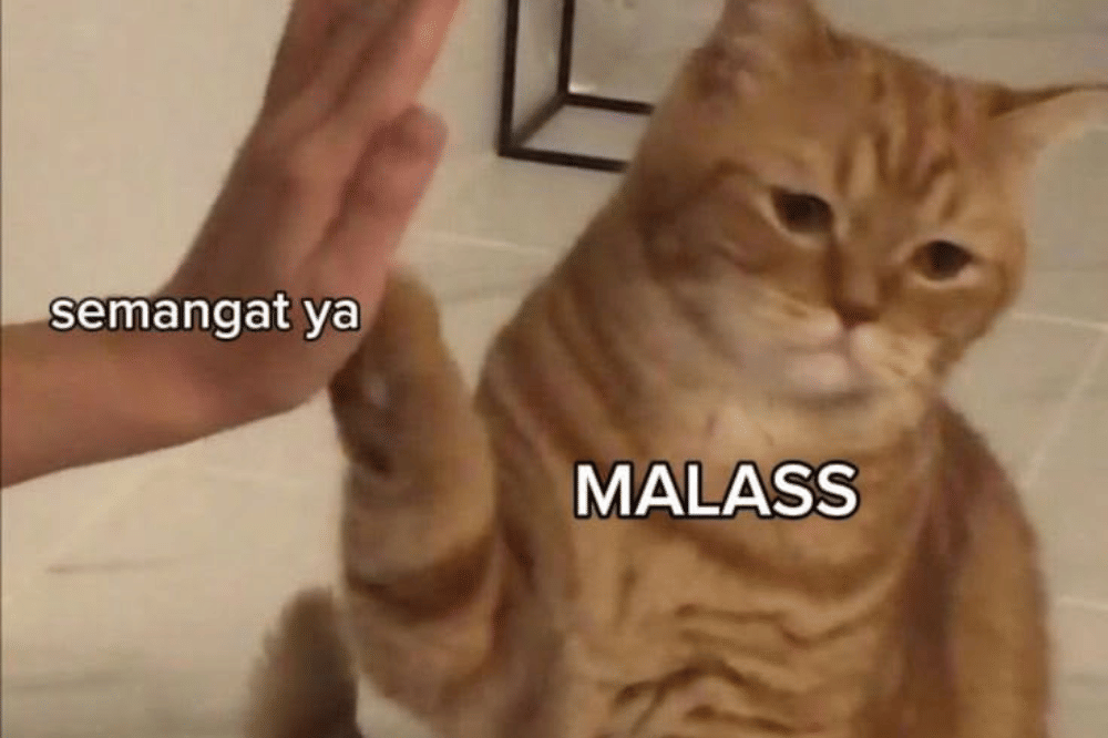 10 Meme Kucing tentang Kekecewaan, Receh tapi Ngena Banget!