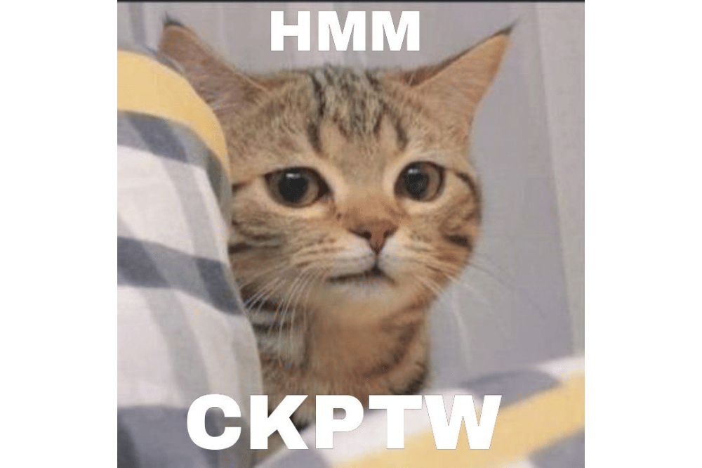Meme Kucing Kecewa