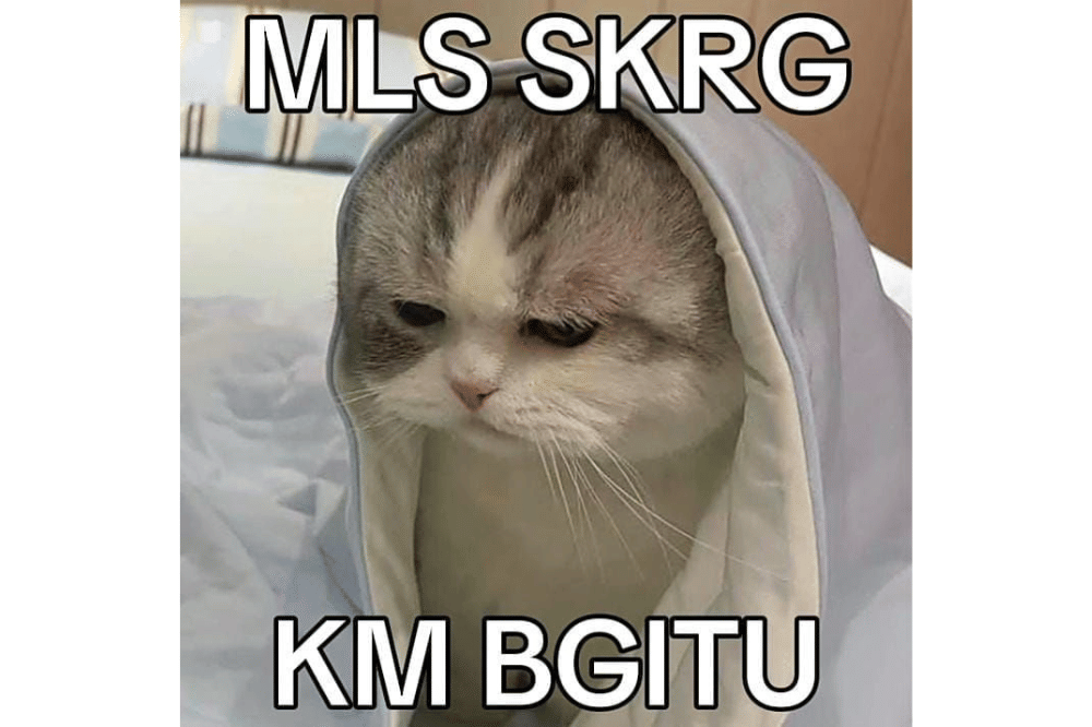 Meme Kucing kecewa