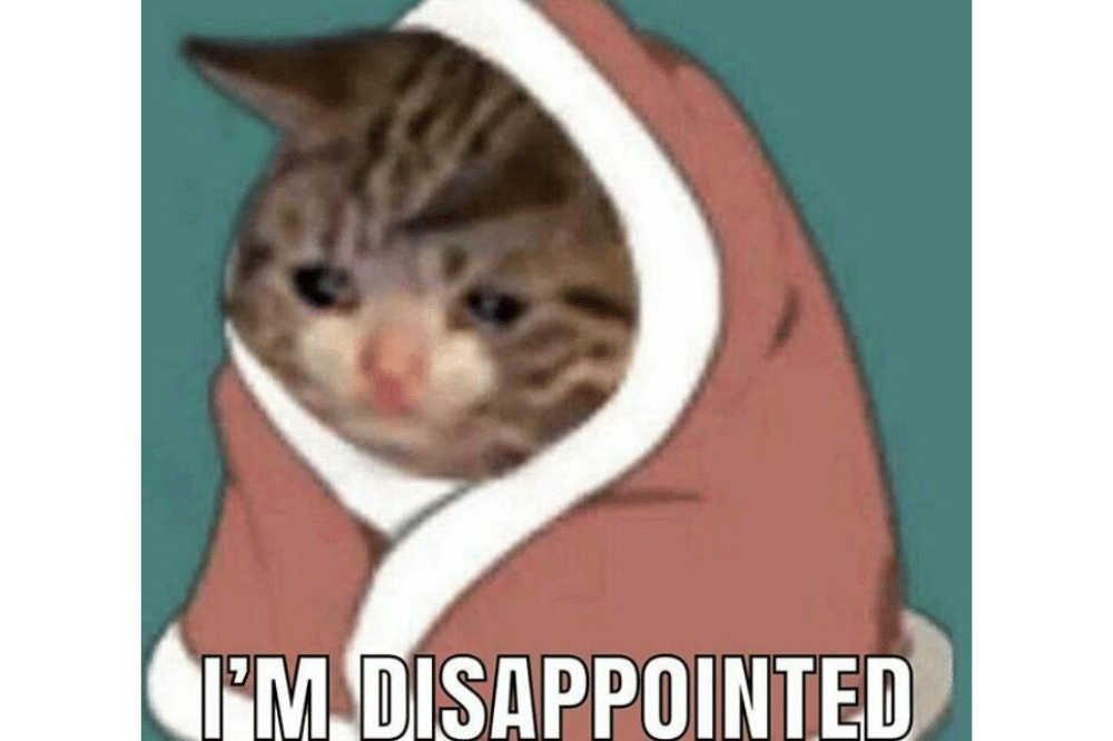 Meme Kucing Kecewa