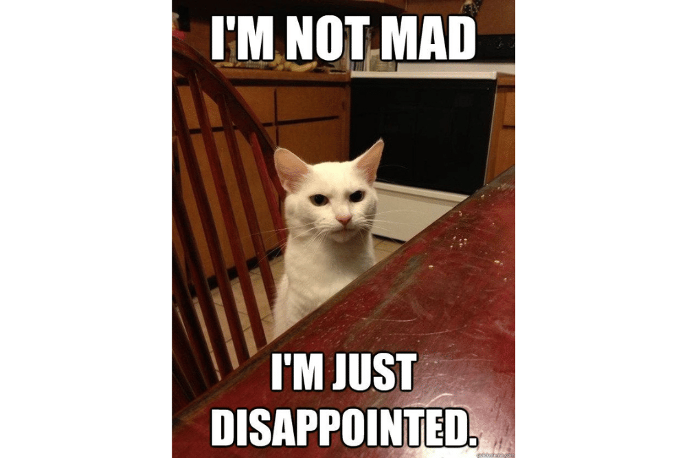 Meme Kucing Kecewa