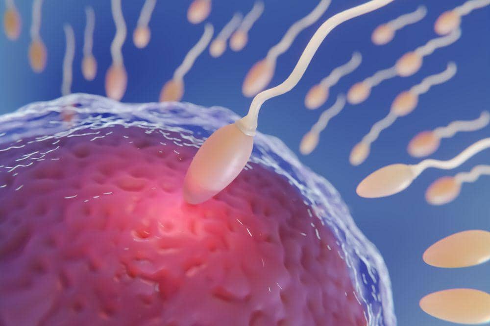 6. Tanda-tanda sperma mengalami perbaikan.jpg