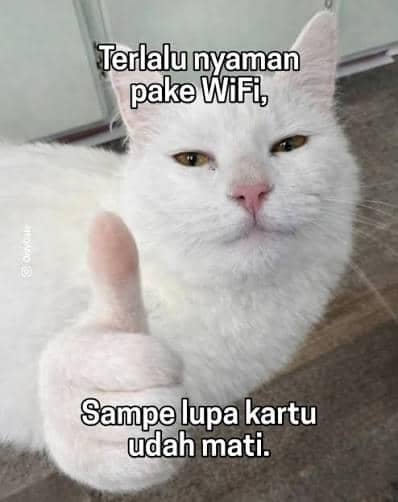 8 Meme Emak-Emak Kalau WiFi Mati, Tingkahnya Bikin Ngakak!