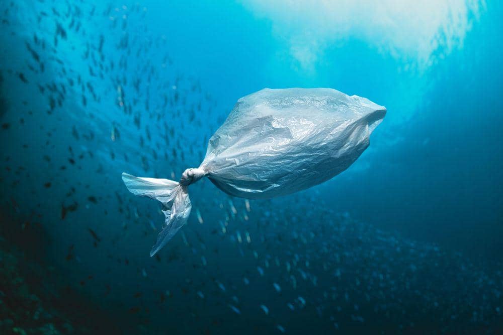sampah plastik
