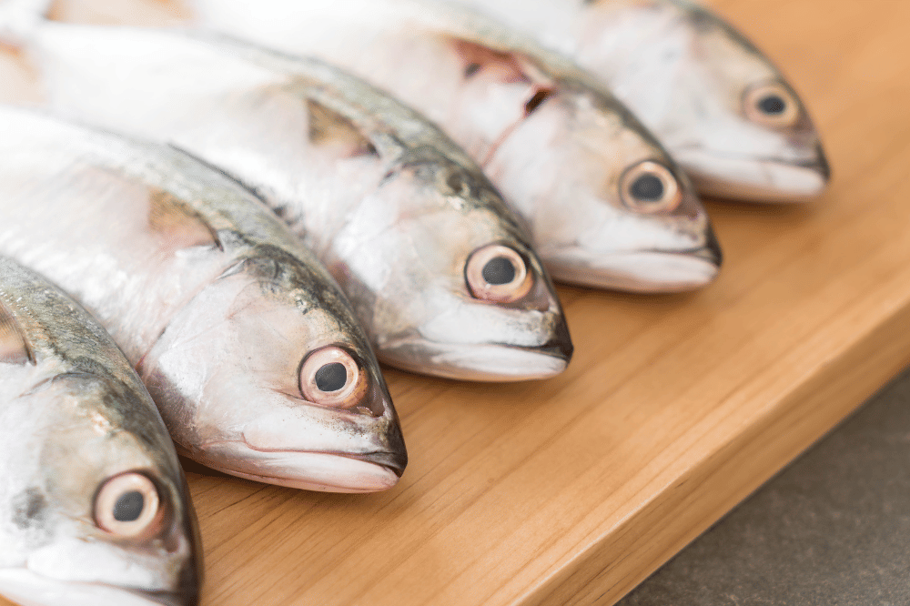 Harga ikan selar tetengkek relatif terjangkau 
