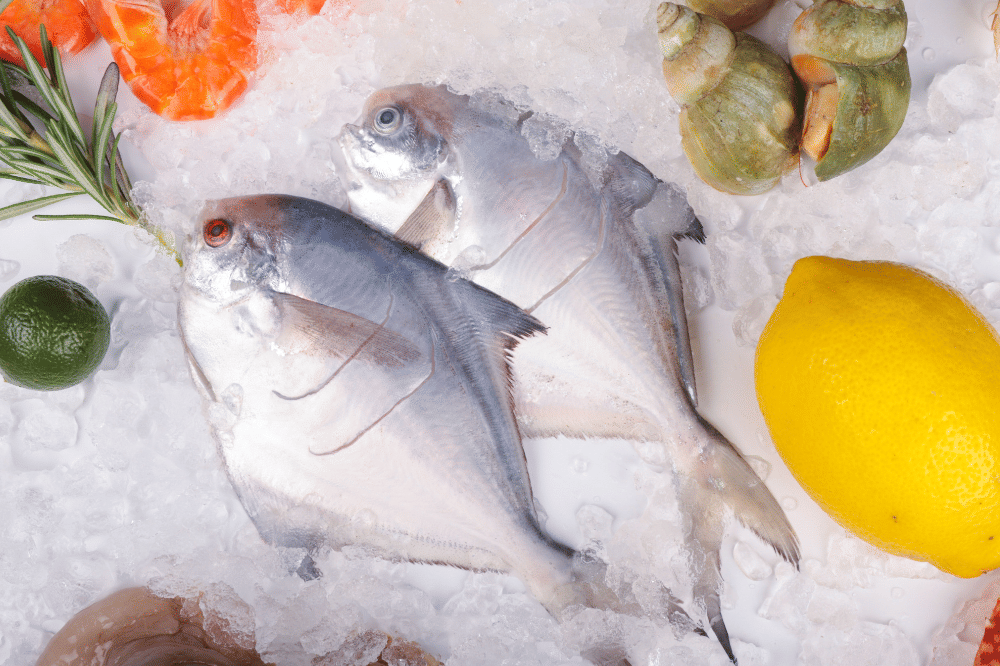 Ikan bawal memiliki duri yang relatif sedikit sehingga mudah dikonsumsi anak