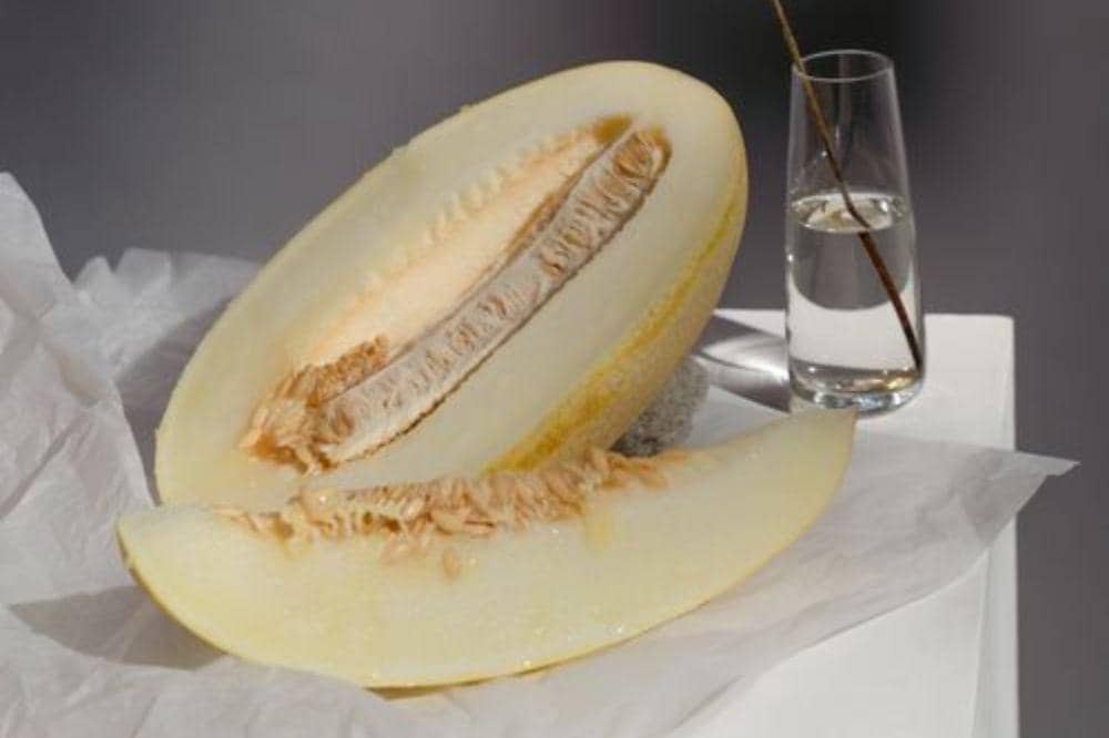Melon Yubari King
