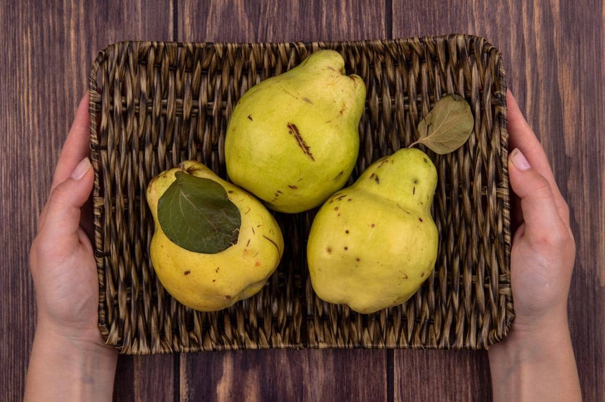 Buah jambu biji untuk mencerahkan kulit (8)