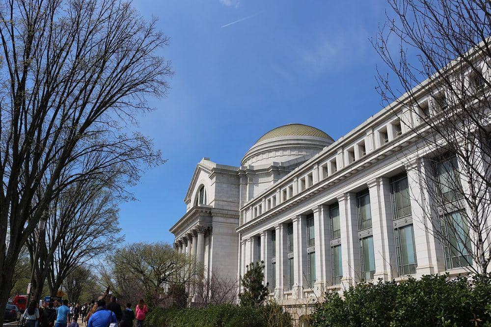 National Museum of Natural History, Washington D.C., Amerika Serikat
