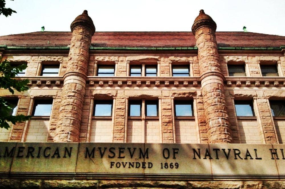 American Museum of Natural History, New York, Amerika Serikat