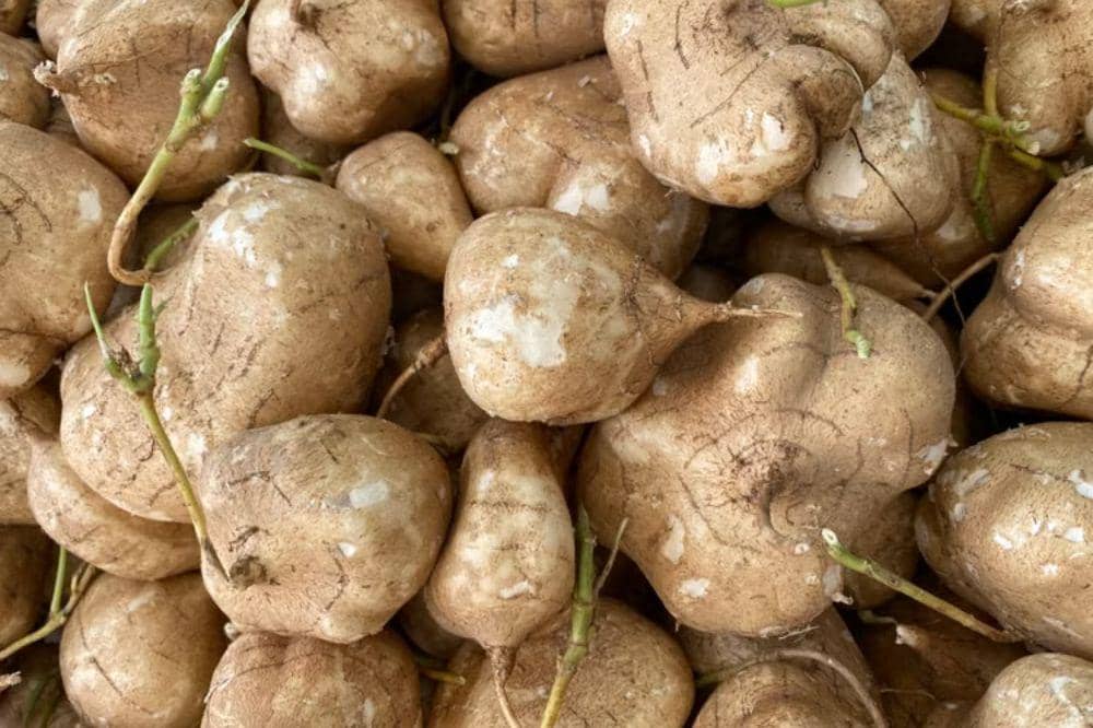 7 Manfaat Bengkoang untuk Asam Lambung, Bantu Redakan Perut Perih