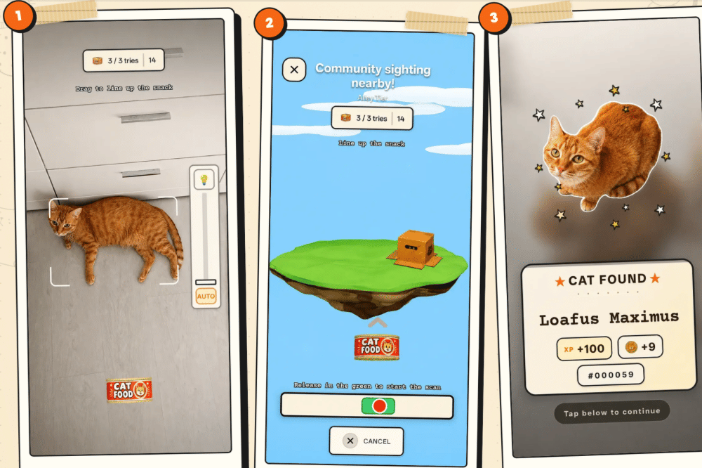 Lagi Viral, Game CatchCat Ubah Kucing Liar Jadi Kartu Digital Mirip Pokemon Go!