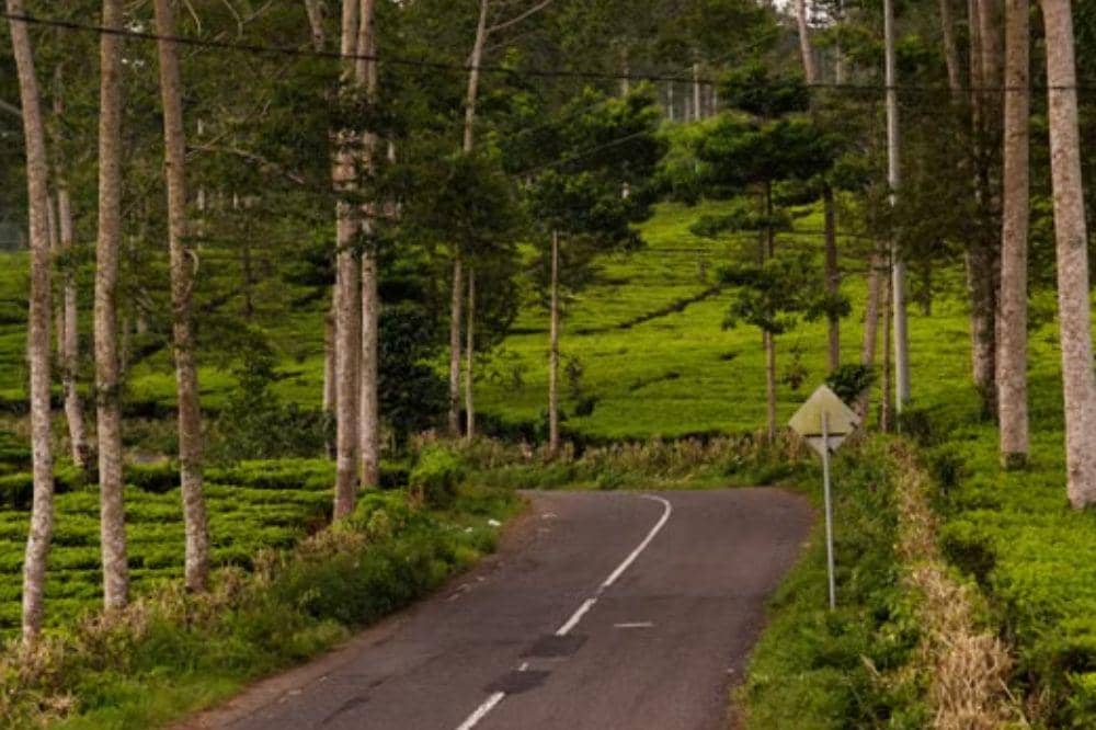 Lebih Aman untuk Kondisi Jalan di Indonesia