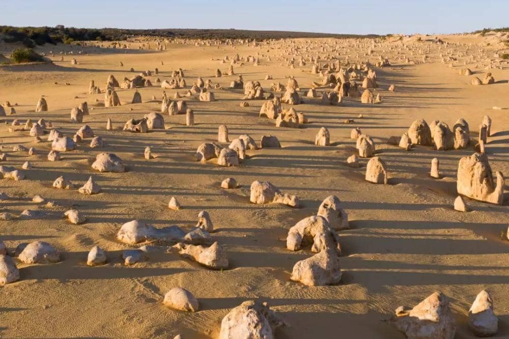 Bentang alam The Pinnacles di Nambung National Park cocok untuk belajar formasi batuan purba