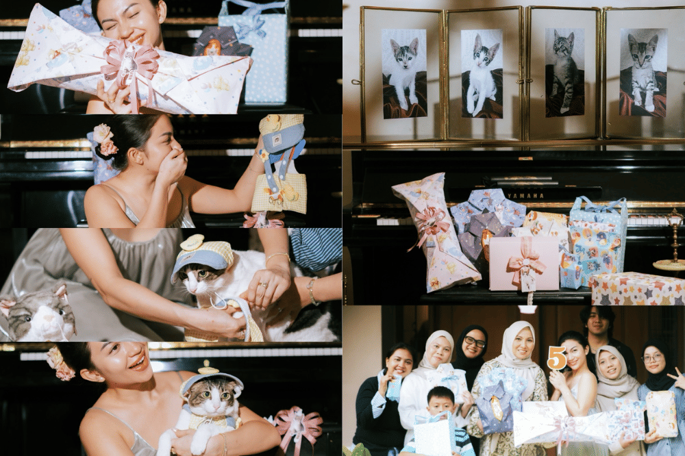 Foto ulang tahun kucing ariel tatum 3
